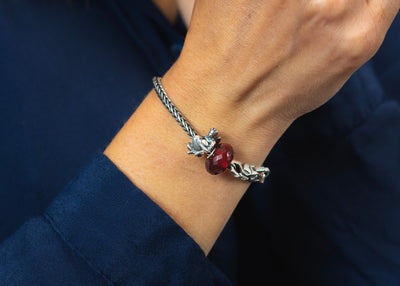 Avance exclusivo: Colección Alas Guardianas 🪽