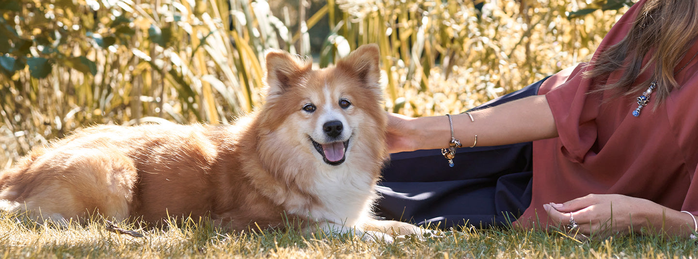 Dog and model in nature. The model is wearing Trollbeads jewellery.