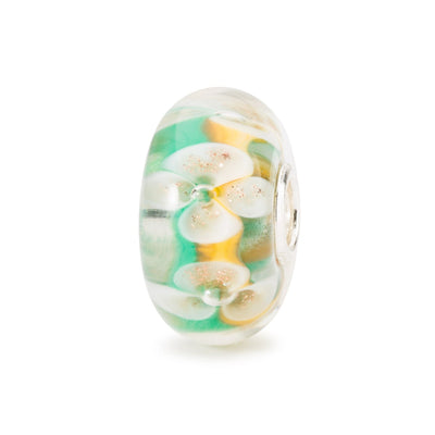 Kit Canción de Amor